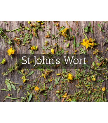 Herbaria St. John's Wort Tea 25 tea bags